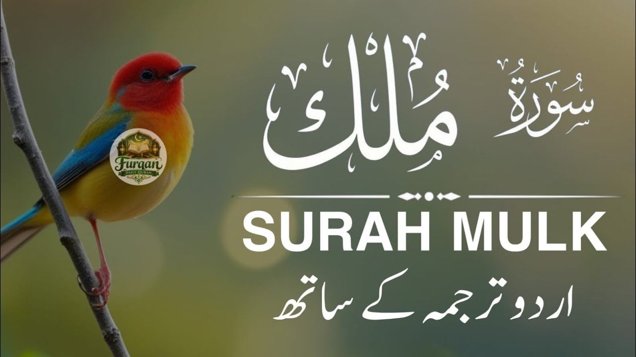 Listen Every Night – Surah Mulk With Urdu Translation | Qari Ala Aqel Recitation