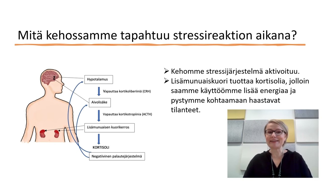FinnBrain kortisoliosatutkimus esittäytyy