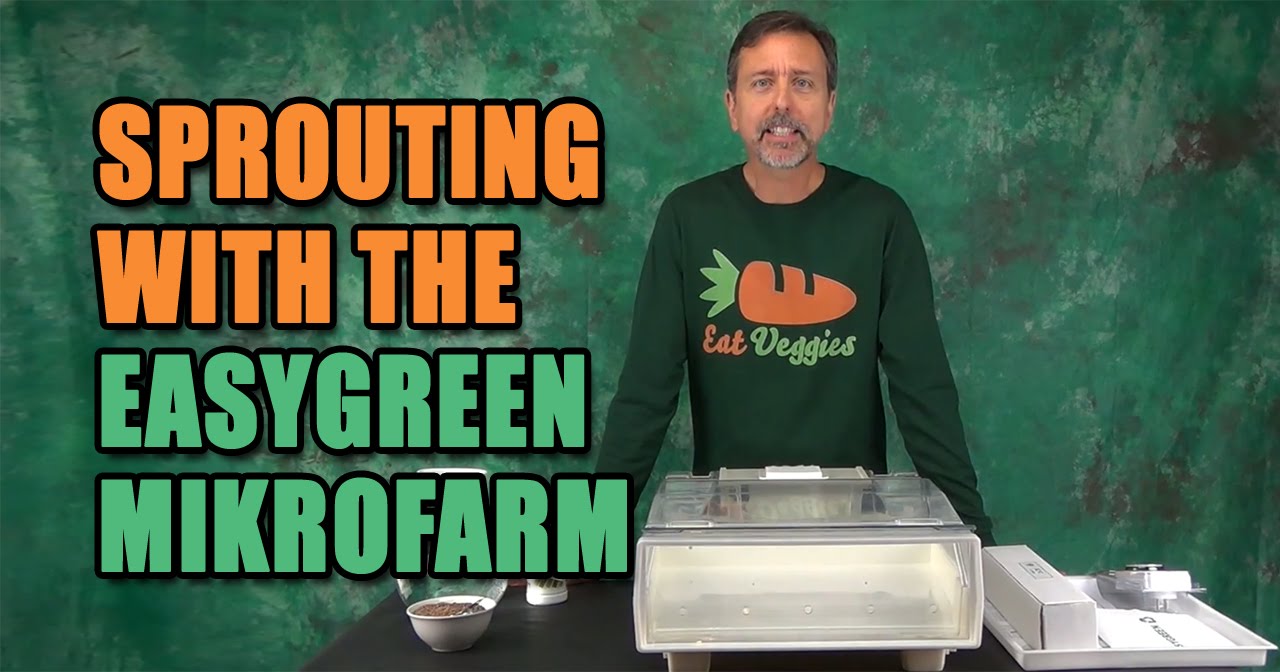 Easygreen Automatic Sprouter Mikrofarm Product Review