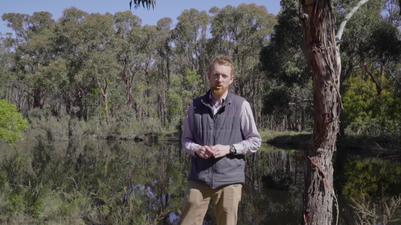 396 Smythesdale Snake Valley Road, Hillcrest - Matt Edwards