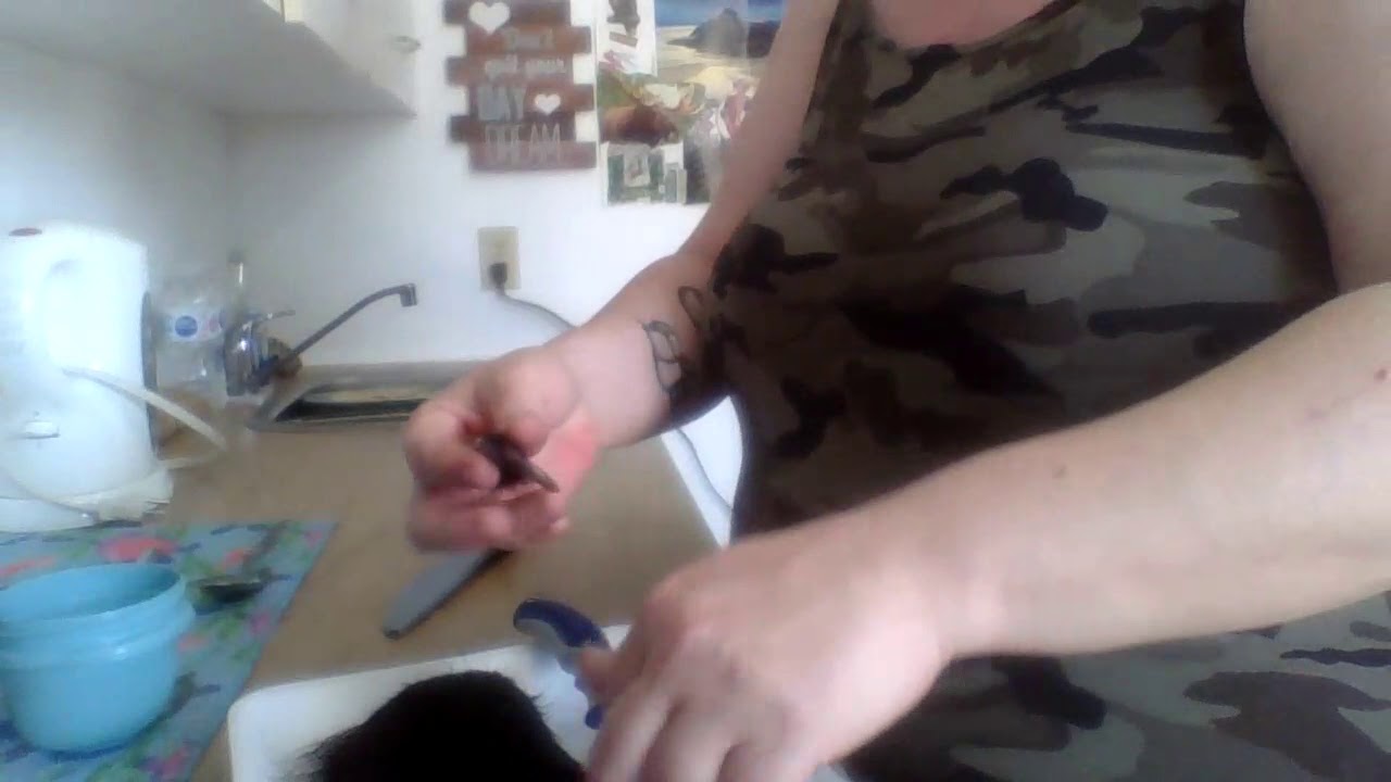 Bear paw disection to retrieve claws and bones.