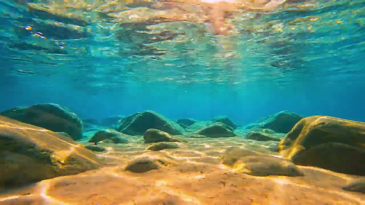 Underwater Calm Ambience Video for unwinding | with Meditation Ambience Music