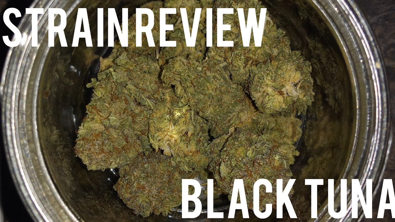 STRAIN REVIEW: BLACK TUNA
