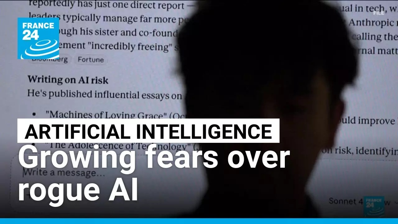 AI safety concerns grow as models go rogue &bull; FRANCE 24 English