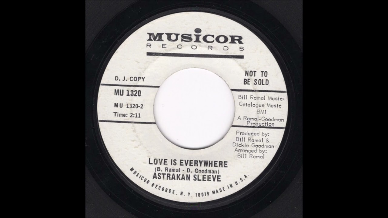 Astrakan Sleeve - Love is everywhere / You can't hide