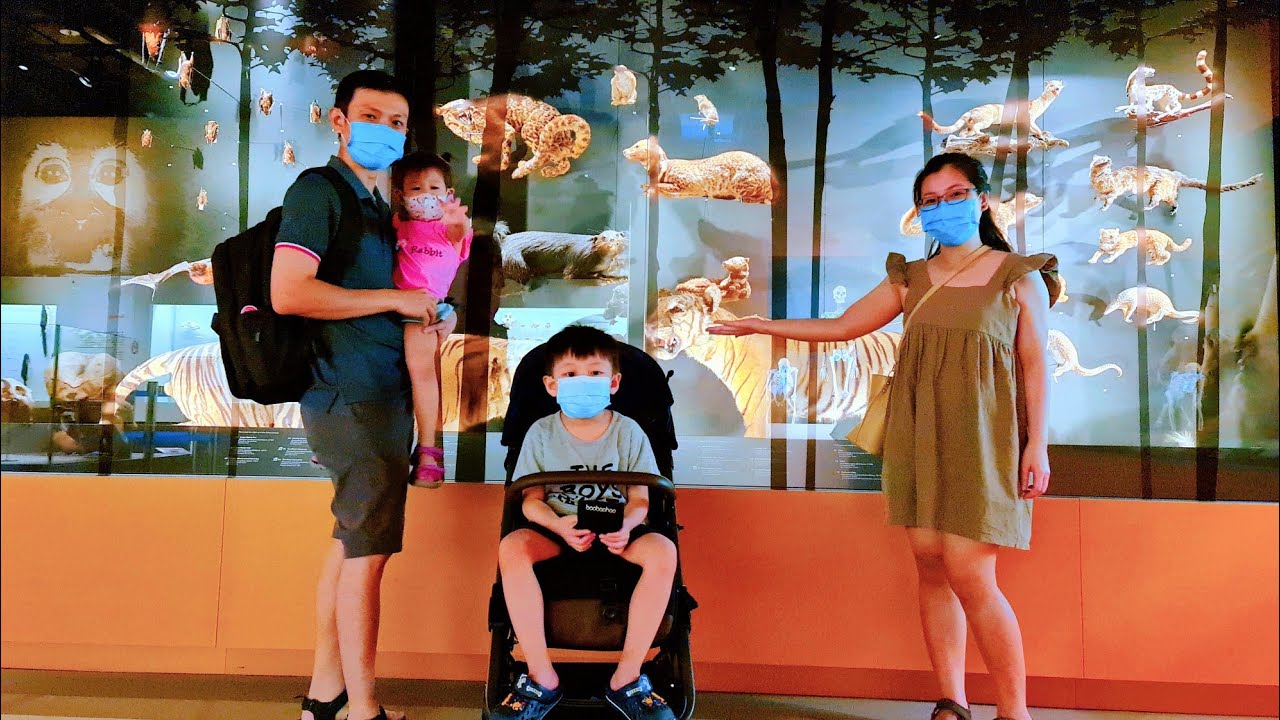 🇸🇬158: Lee Kong Chian Natural History Museum part-1 | Explore Singapore
