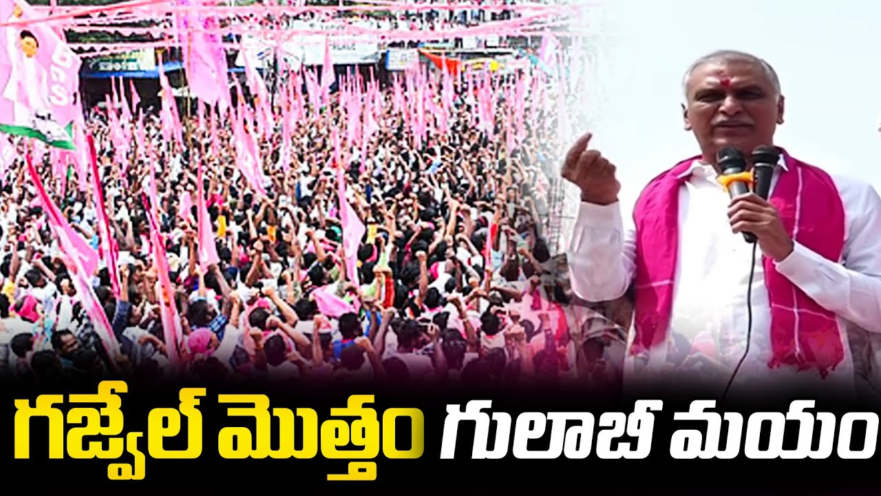 గజ్వేల్ మొత్తం గులాబీ మయం | HARISH RAO CAMPAIGNING | GAJWEL | RG TV TELUGU