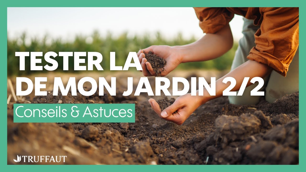 Tester la terre de mon jardin : argileuse, limoneuse ou sableuse (2/2) - Truffaut