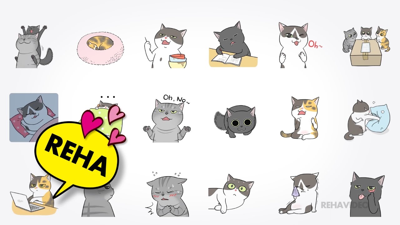 CUTE Meow Talk world | RehaTV