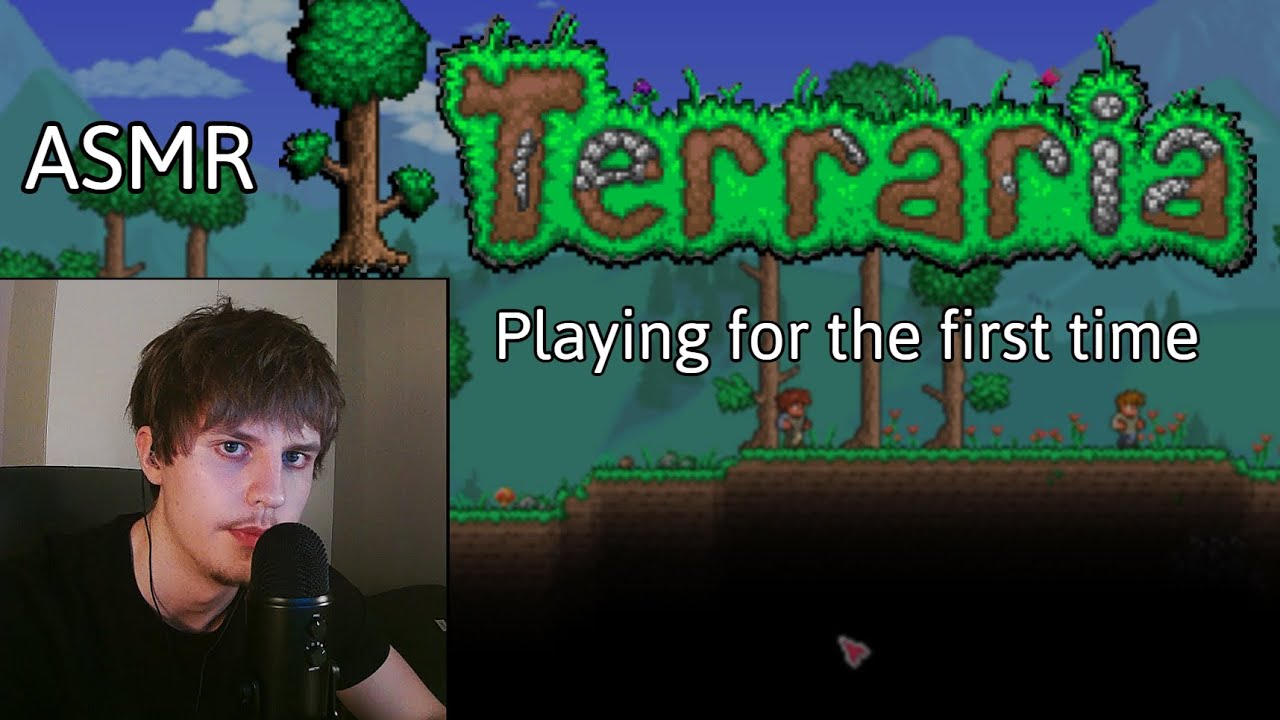 Впервые в жизни ASMR-видео по Terraria, чтобы исцелить твою душу, братан☺️