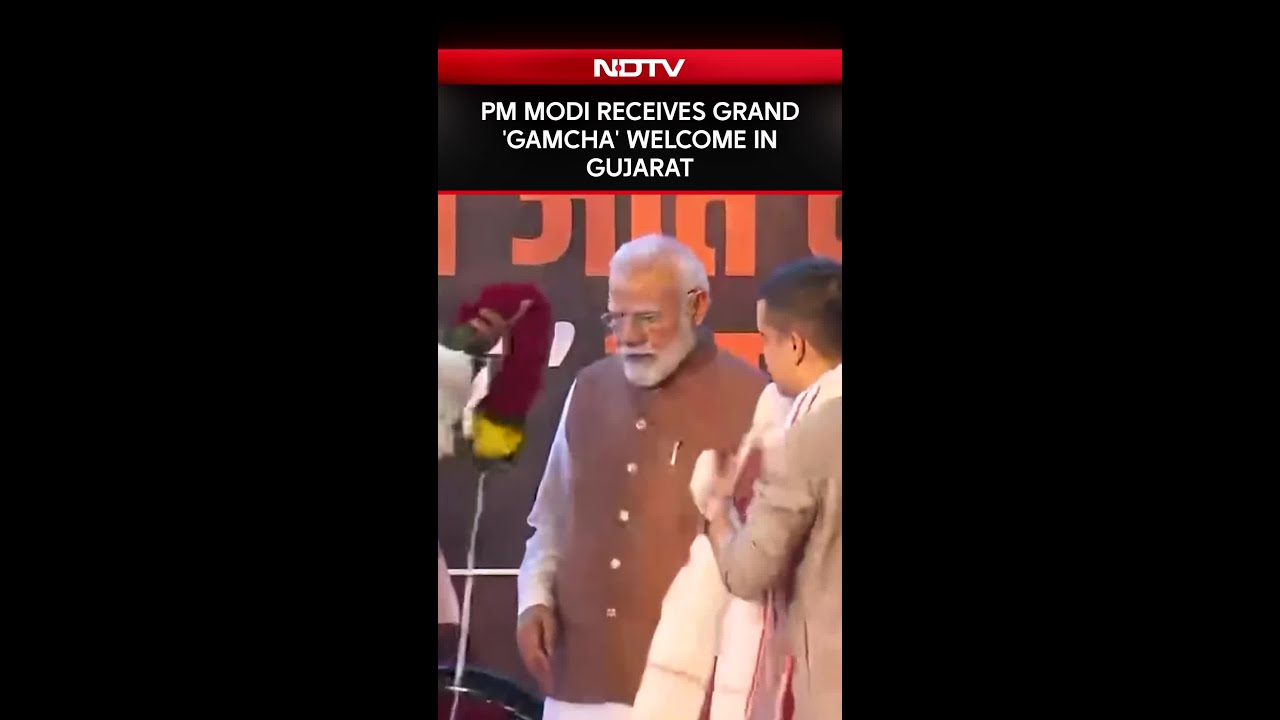 PM Modi News | PM Modi Receives Grand 'Gamcha' Welcome In Gujarat