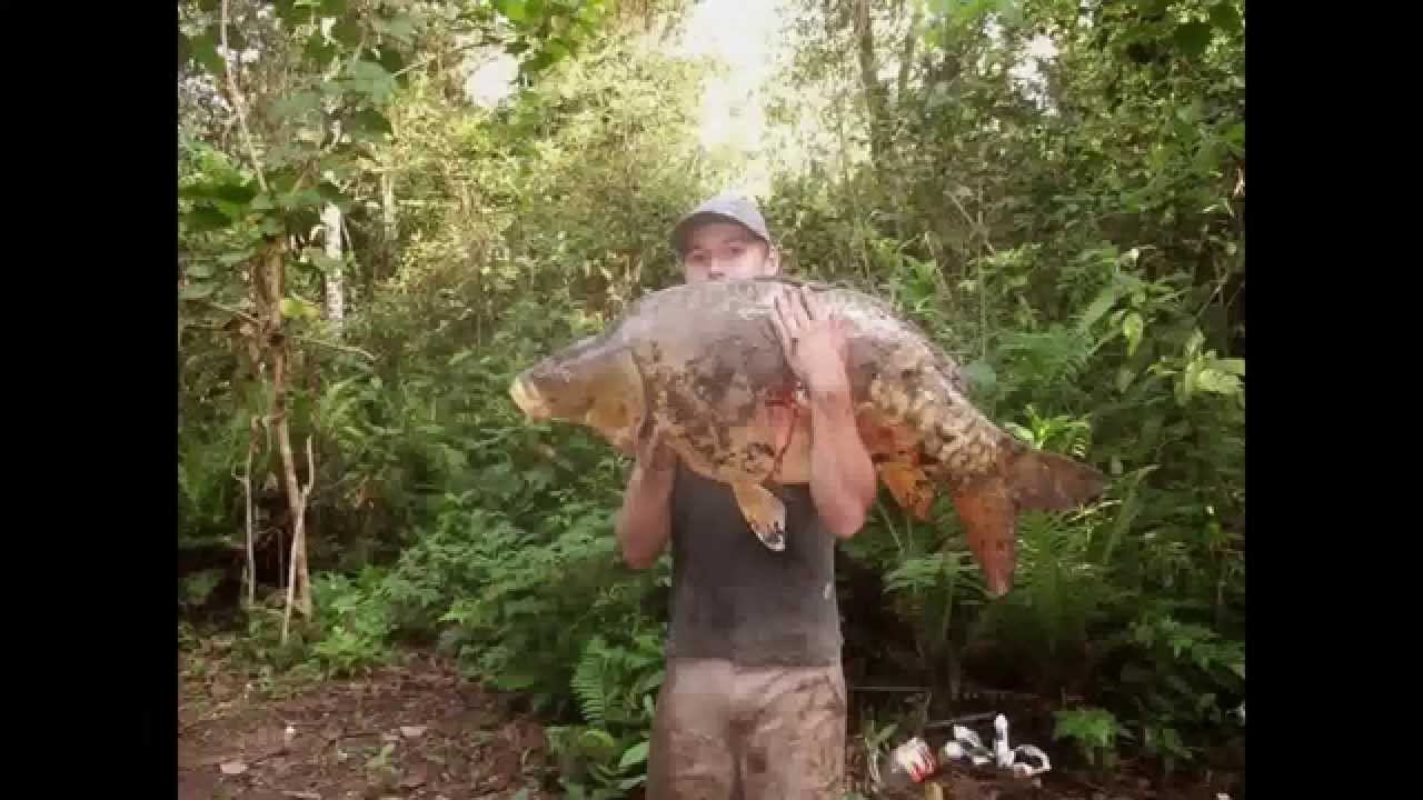pescarias de grandes carpas no rio pirai 1