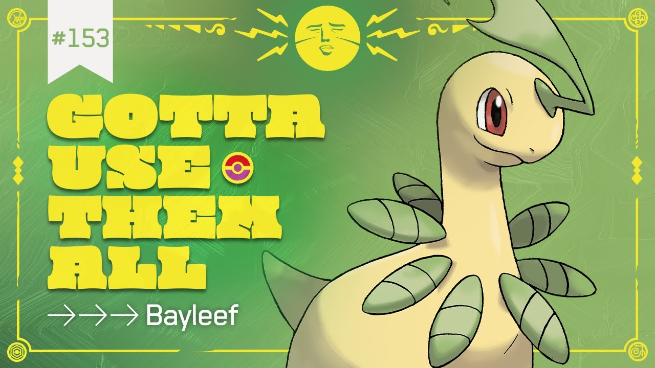 Bayleef - Gotta Use Them All - Pokemon PU Showdown LIVE