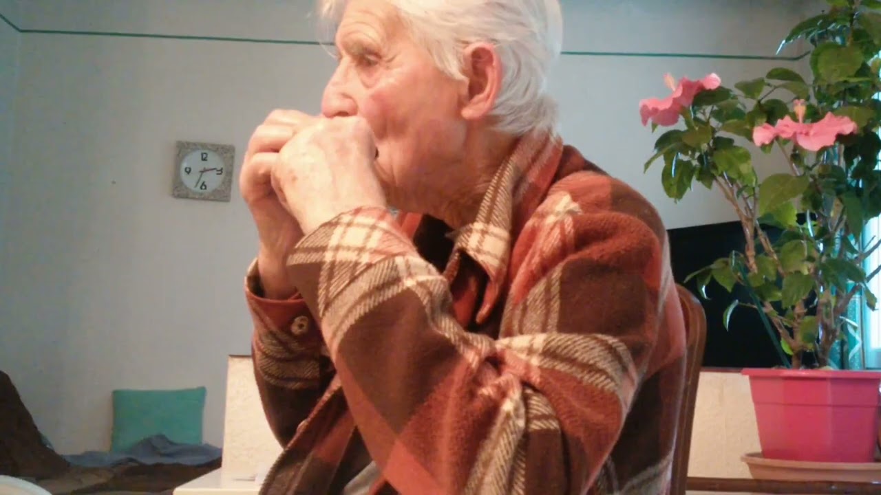 harmonica et chocolat
