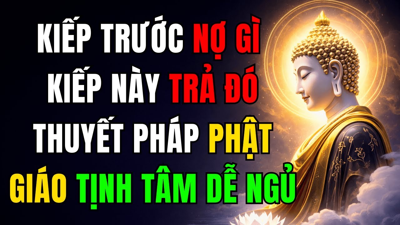 Kiếp Trước Nợ Gì, Kiếp Này Trả Đó Thuyết Pháp Phật GiáoTịnh Tâm Dễ Ngủ #LờiPhậtDạy #PhậtDạyTa