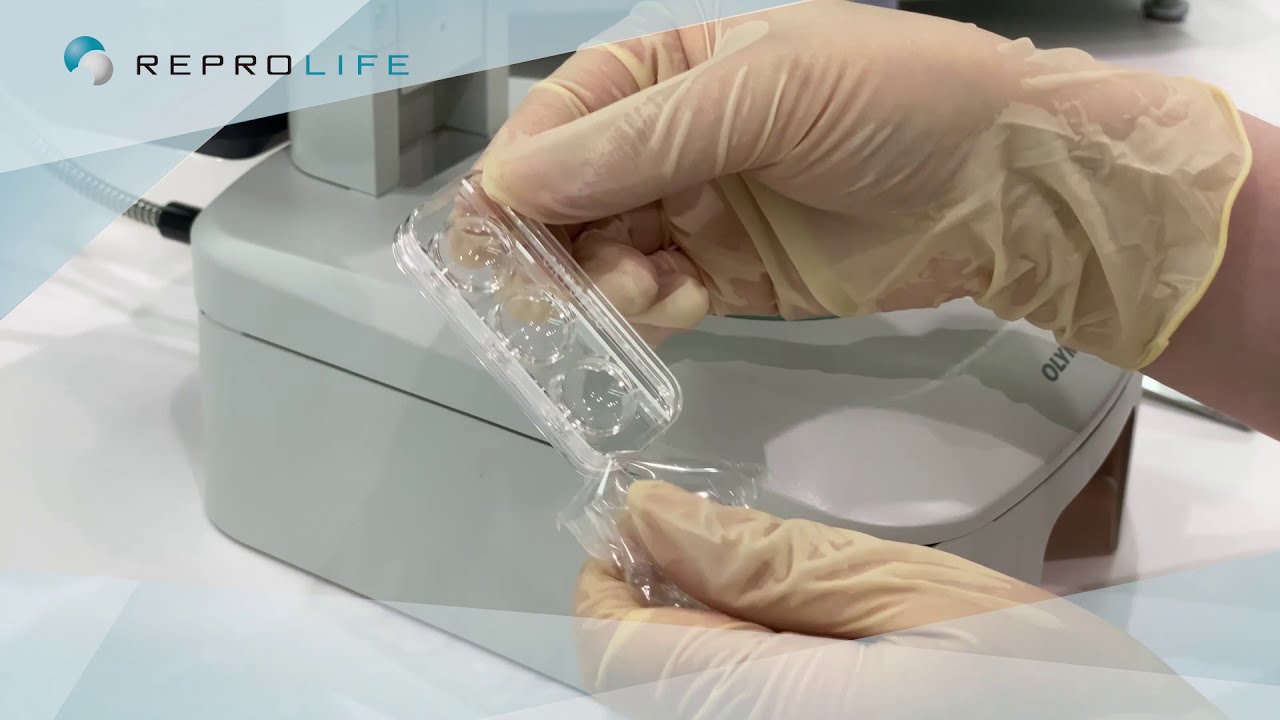 Cryotec Vitrification and Warming Protocol (English)
