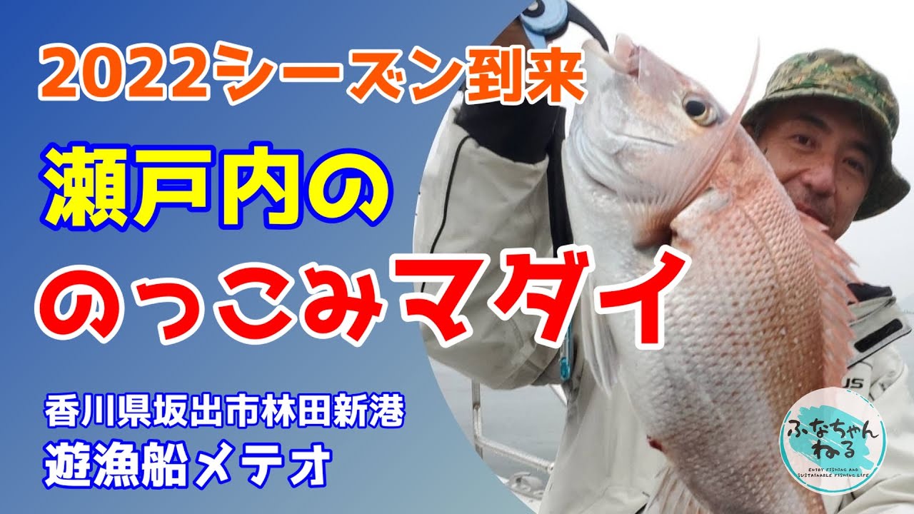 【タイラバ】 シーズン到来した香川県沖の乗っ込みマダイ