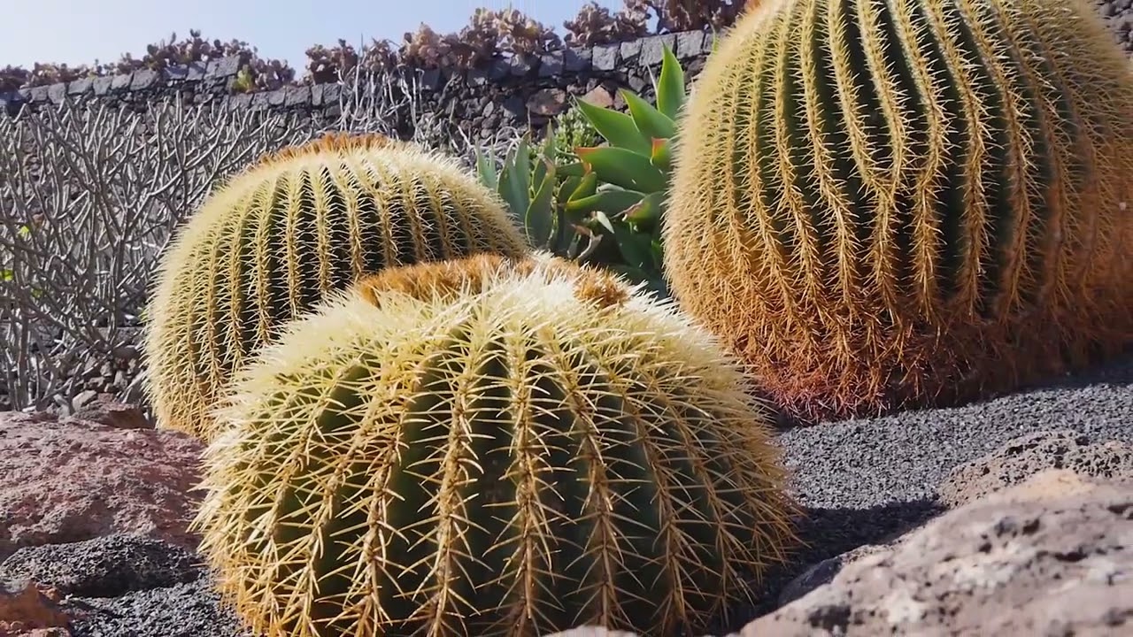 The art of César Manrique, Lanzarote, Canary Islands
