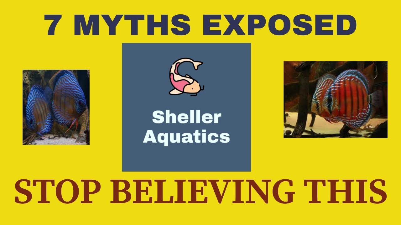“The 7 Lies Fishkeepers Still Believe (And What Actually Works in 2026)”