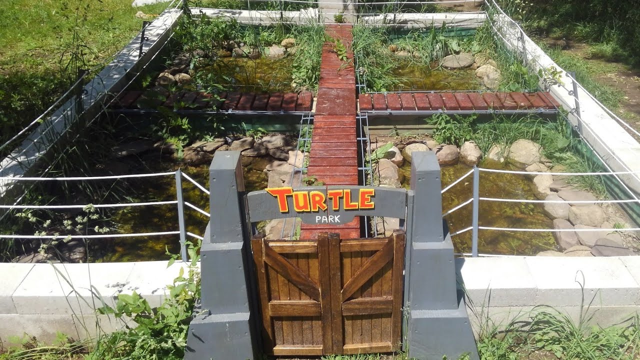 Jurassic Park turtle pond build