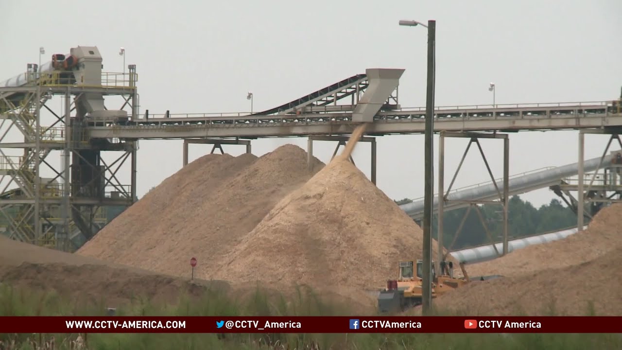 US wood pellet industry stirs environmental controversy