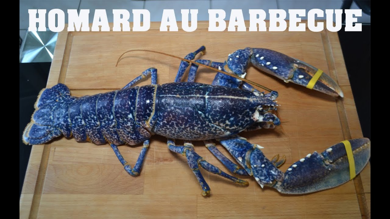 Cuisson du Homard au Barbecue