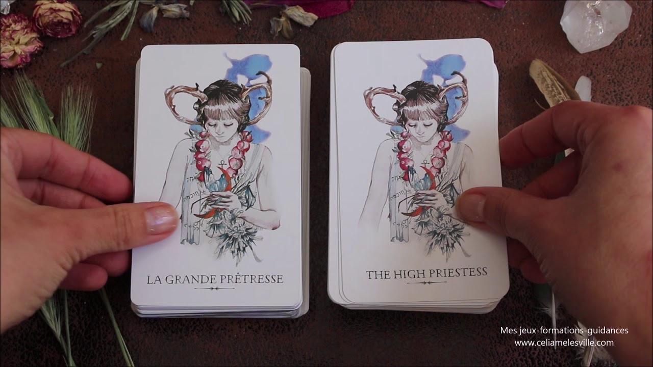Présentation: le Tarot du Funambule de Siolo Tampson