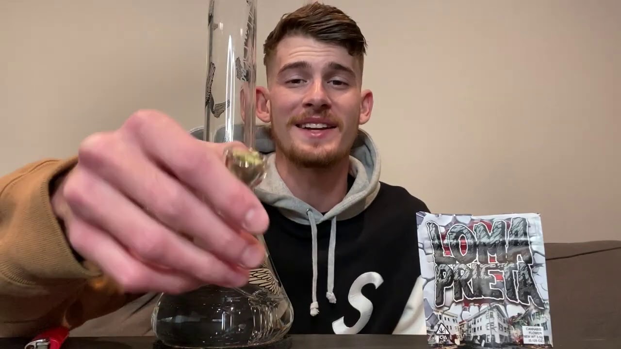 Strain Review! (Loma Prieta by Grandiflora Genetics)