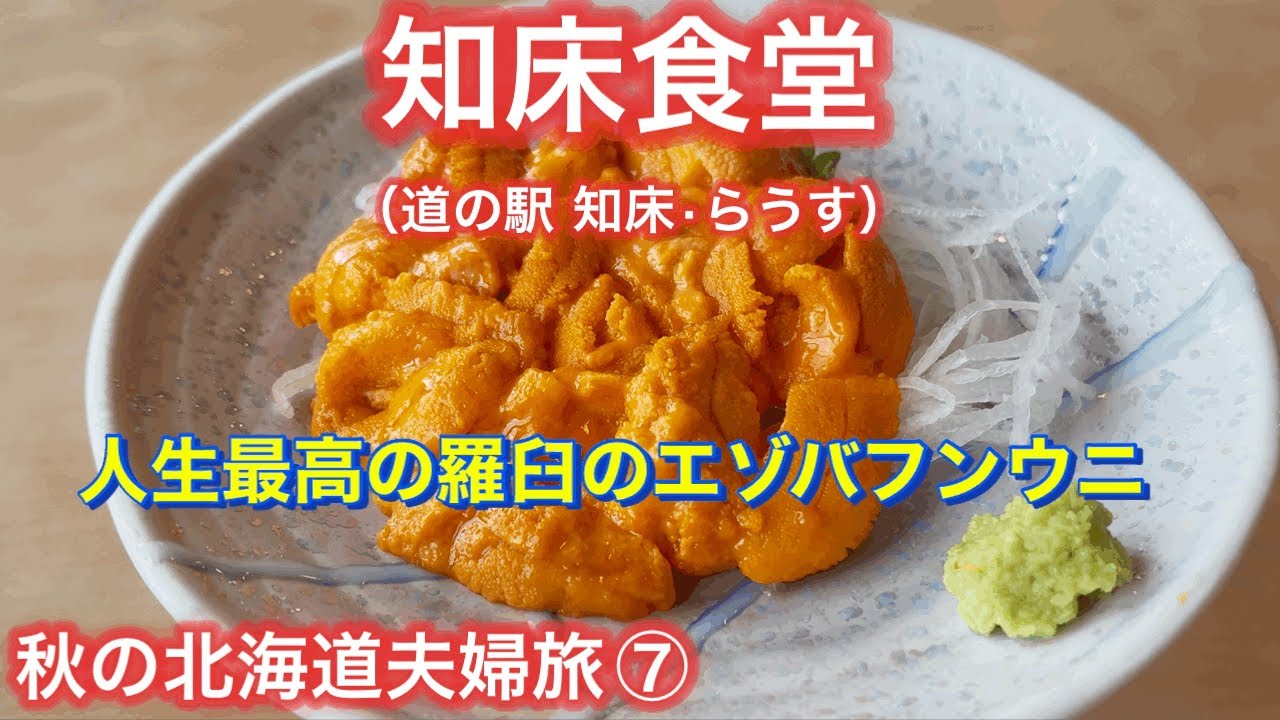  【知床グルメ旅】羅臼「知床食堂」で人生最高のウニに出会った！！