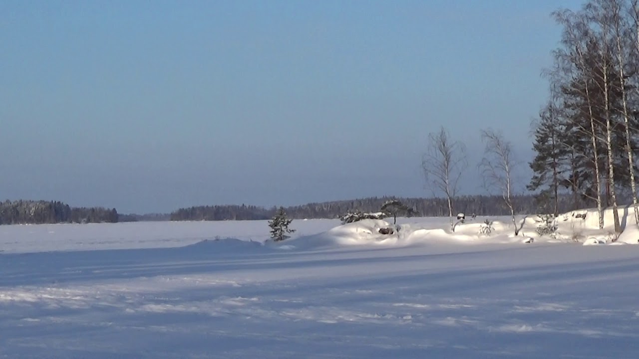 Talvimaisema