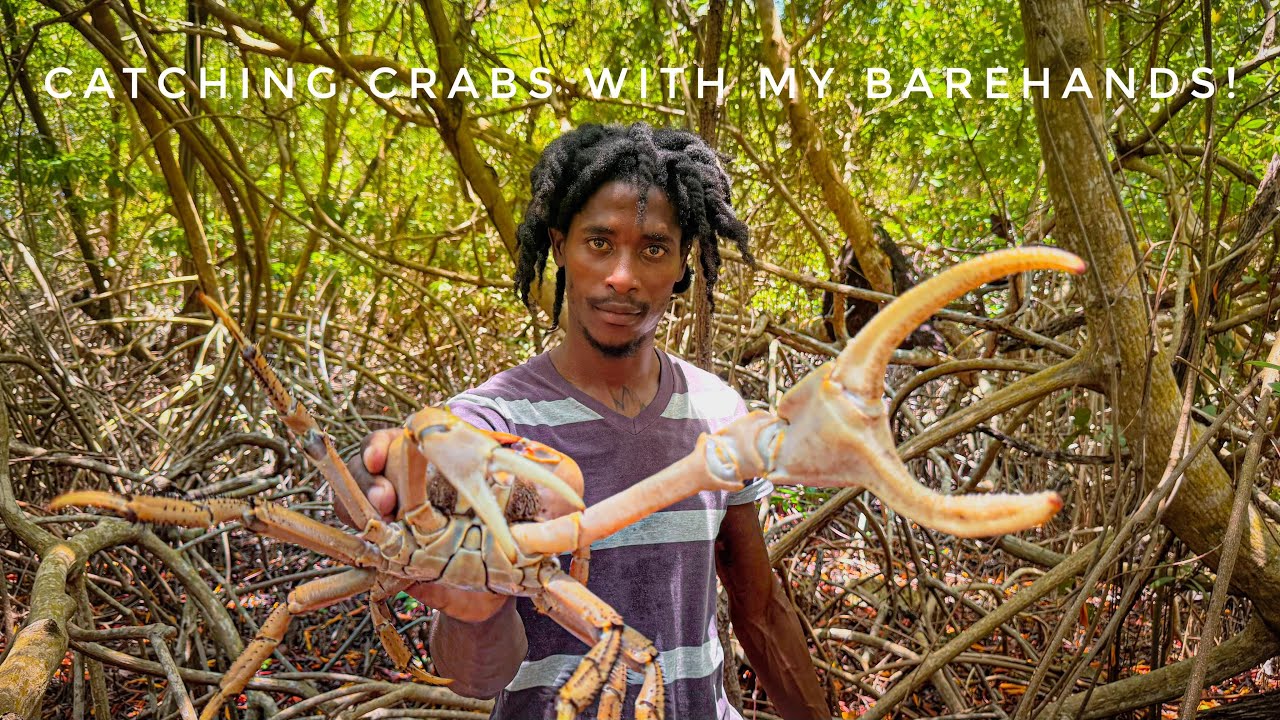 Crab Hunting Like a Pro – Barehanded Catch & Cook