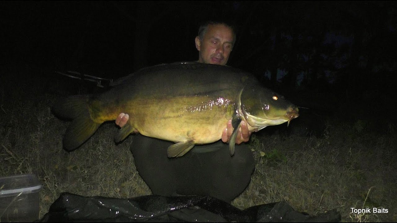 Video pamietnik nr.98 zasiadka wedkarstwo Łowienie carp boilieangeln karpie karpiowanie