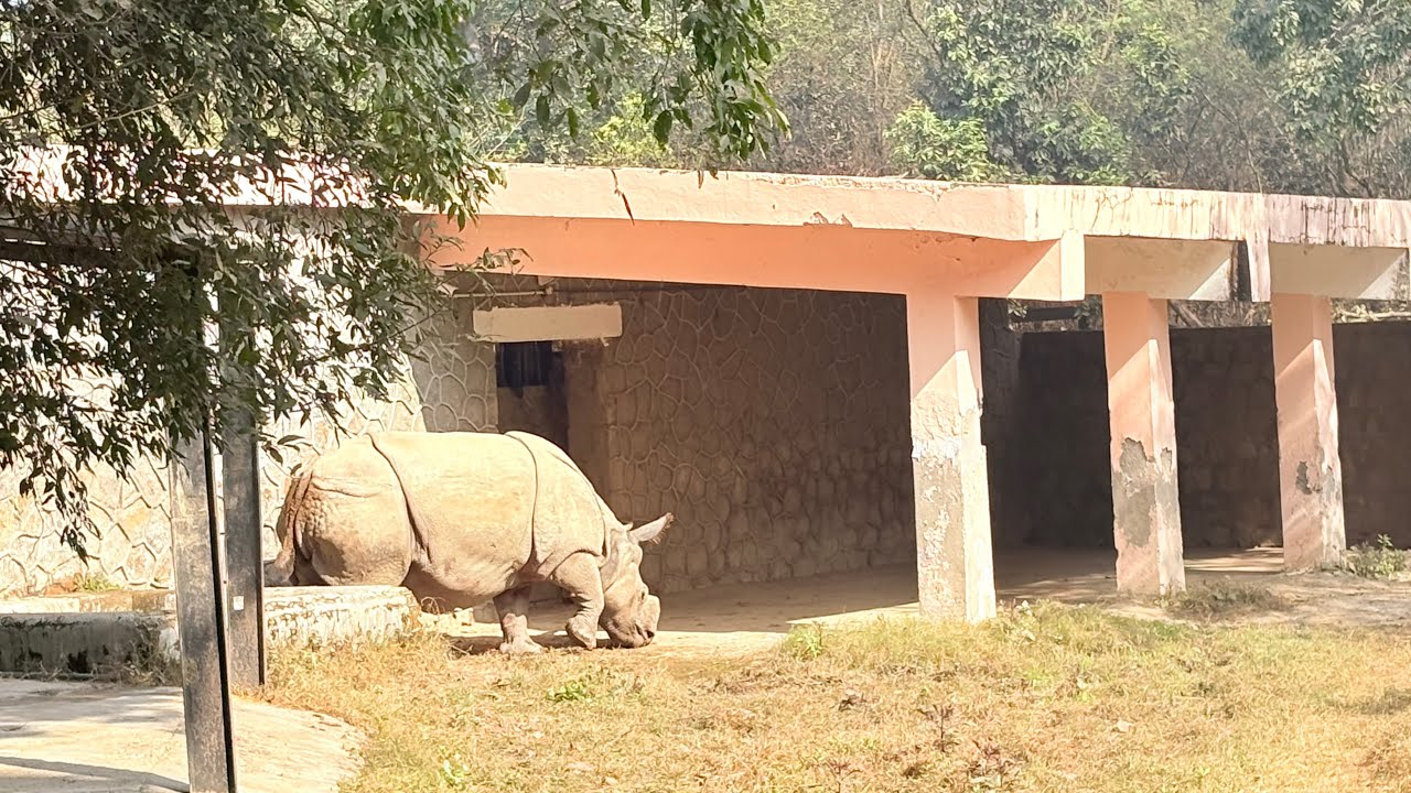 delhi zoo chidiya ghar 2026 vlog  #delhibeauty #delhivlog #zoology #chidhood 