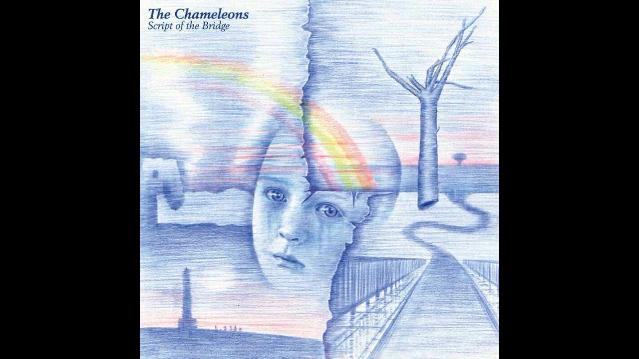 Monkeyland - The Chameleons