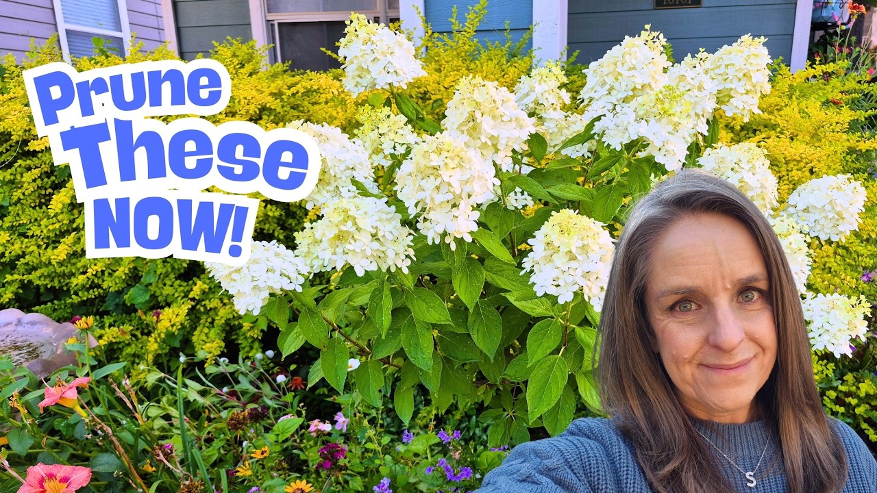 Late Winter Pruning! What, When & How to Prune For SPRING Blooms & Growth!! #northtexasgardening