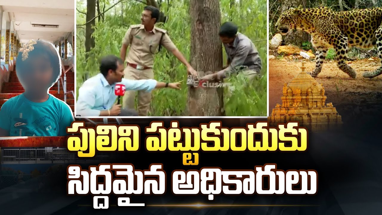 Tirumala Lakshita Incident: Forest Dept Fixes Camera Traps Installed to Monitor Leopard in Tirumala