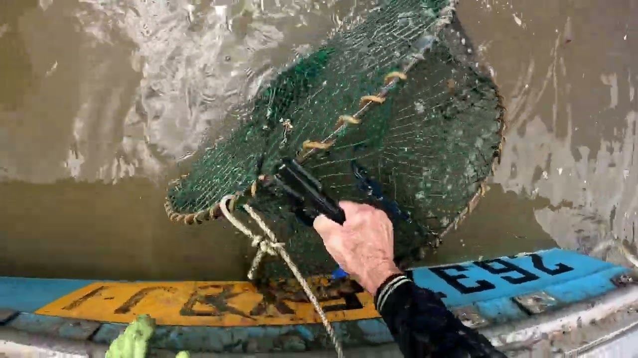 Crocodiles ATTACK Wild Pigs in Queensland Creek! Giant Mudcrabs & Fishing Tips