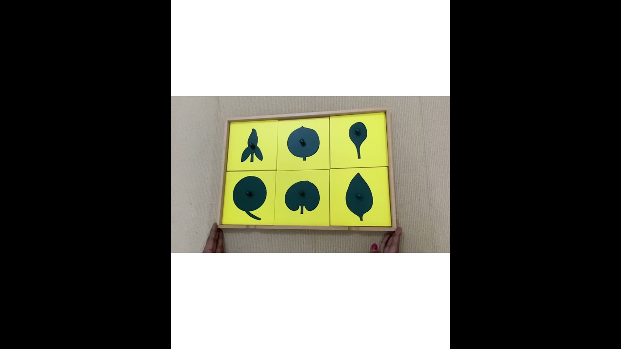Botany Leaf cabinet 1