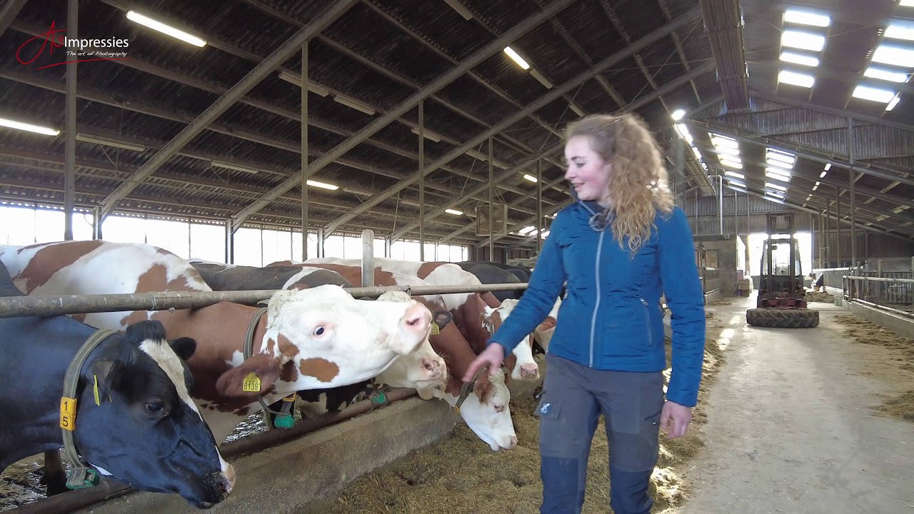 Boerin Marije Steenbergen melkveebedrijf Exloo 