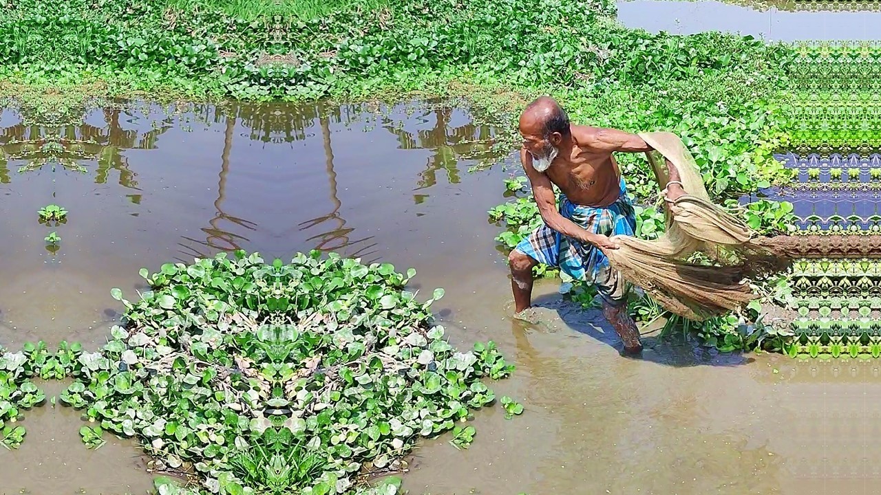 Amazing Cast Net Fishing Skill - Best Net Fishing in River - Unbelievable Net Fishing by Fisherman