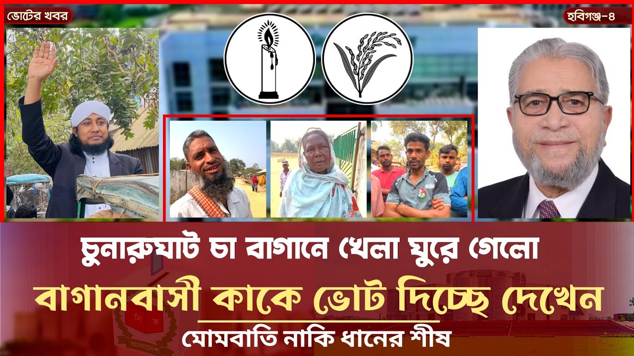 চা বাগানে খেলা ঘুরে গেলো - বাগানবাসী যাকে ভোট দিচ্ছে l তাহেরী নাকি ফয়সাল Giasuddin Taheri l Election