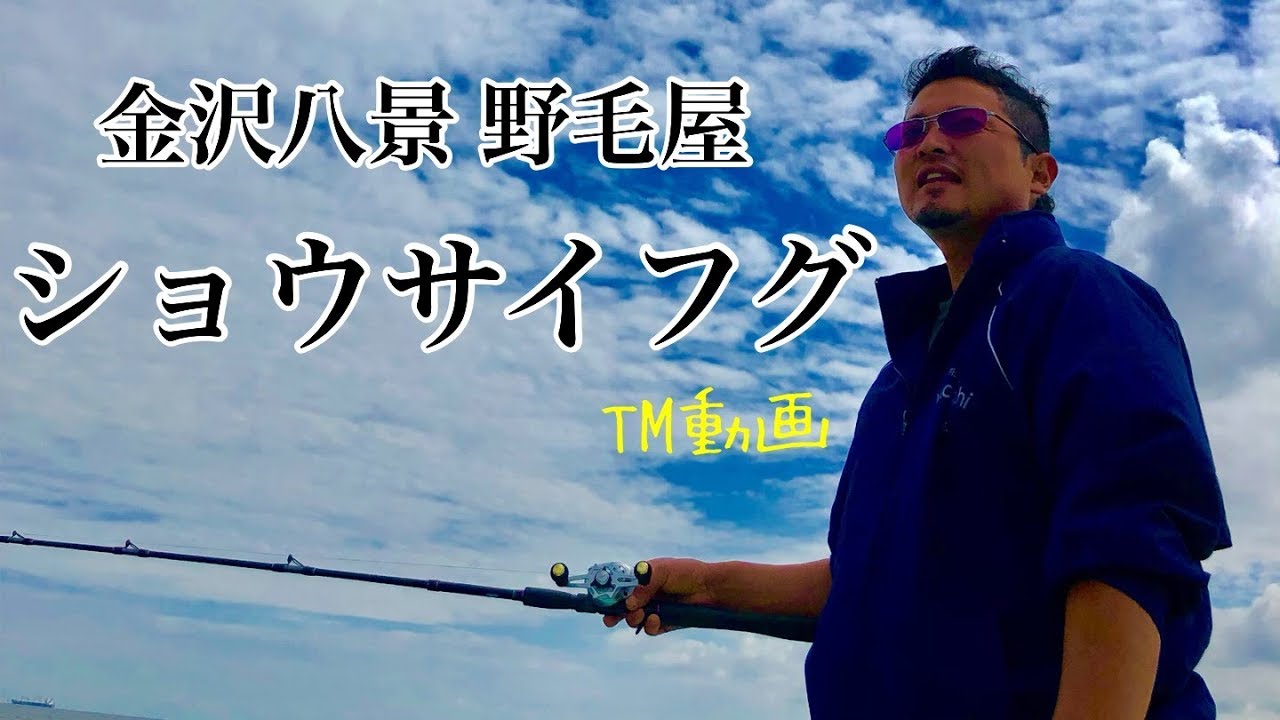 東京湾・湾フグは俺に聞け！金沢八景・野毛屋釣船店・ショウサイフグ