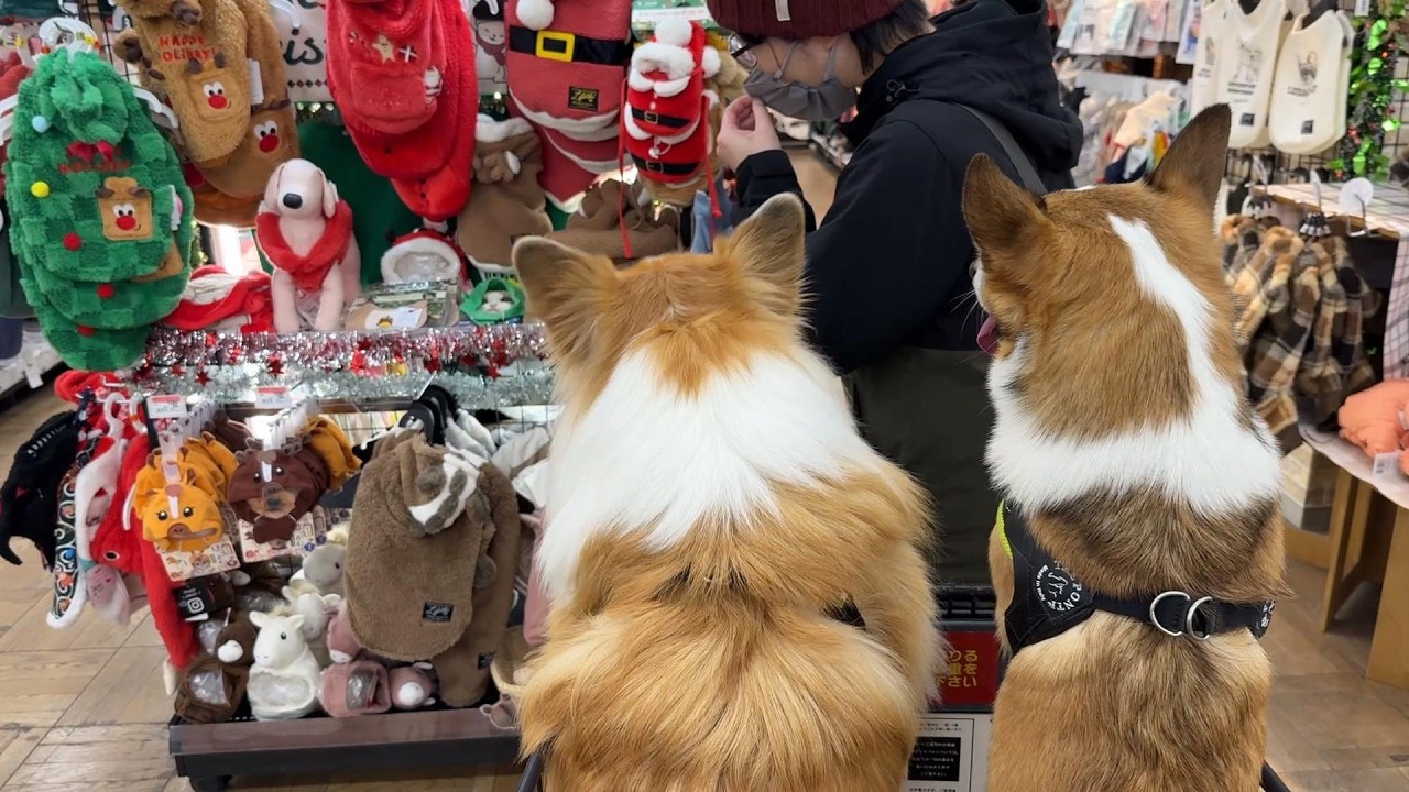 愛犬を連れて「冬用の犬服」を買いに行った結果&hellip;