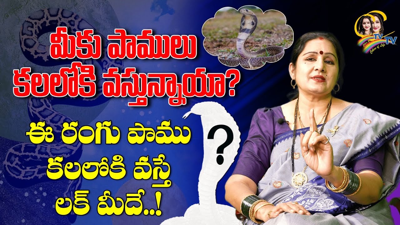 #kalalu | మీకు పాములుకలలోకి వస్తున్నాయా ? ఈ రంగు పాము కలలోకి వస్తే లక్ మీదే..! | Ctv colors of life