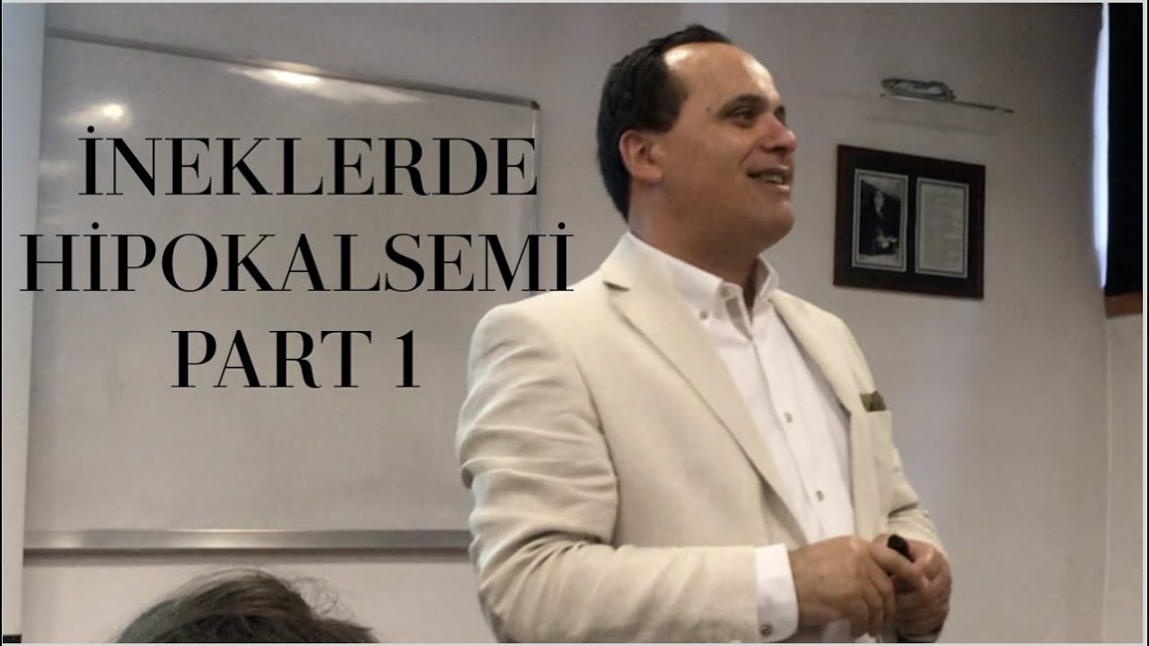 İneklerde Hipokalsemi PART 1 | Prof. Dr. Ayhan Baştan
