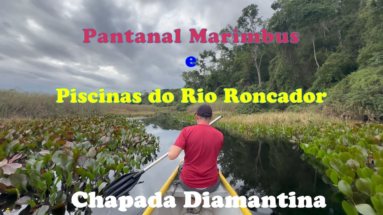 Pantanal Marimbus e Piscinas do Rio Roncador - Chapada Diamantina