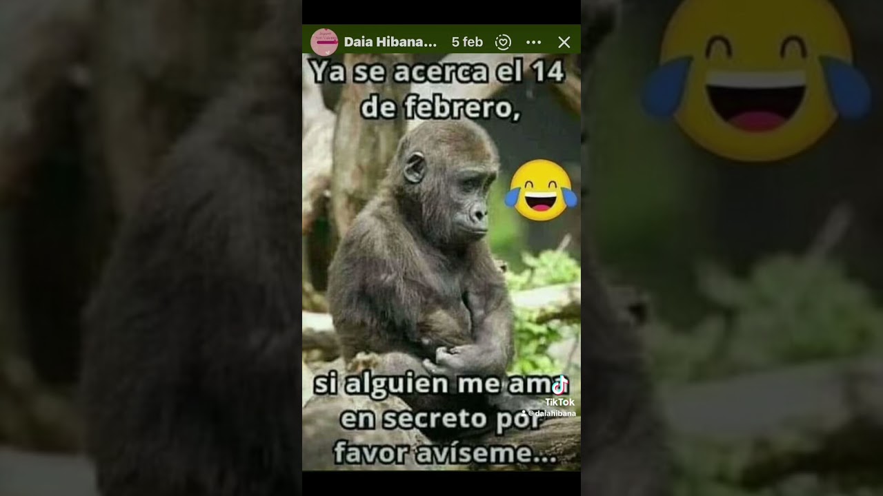 #love #lovesong #viral #whiteday #sanvalentin ☯️❣️#shorts #youtubeshorts 🎧🎤#funny #music 🎙️🎉