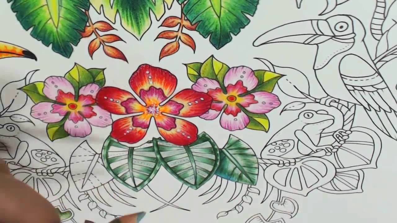 Magical Jungle - Speedy Coloring - Folhagens e Sapinhos - Leaf and Frog