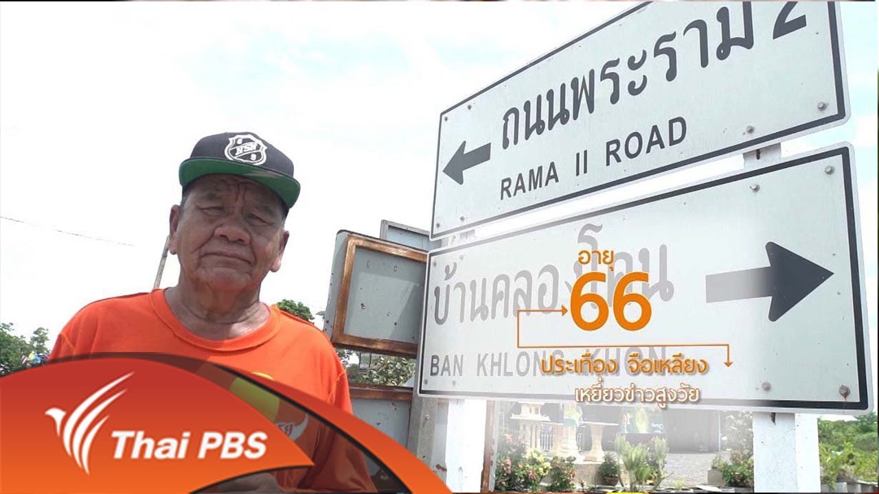 กะปิเคย กะปิคลองโคน (11 ส.ค. 60)