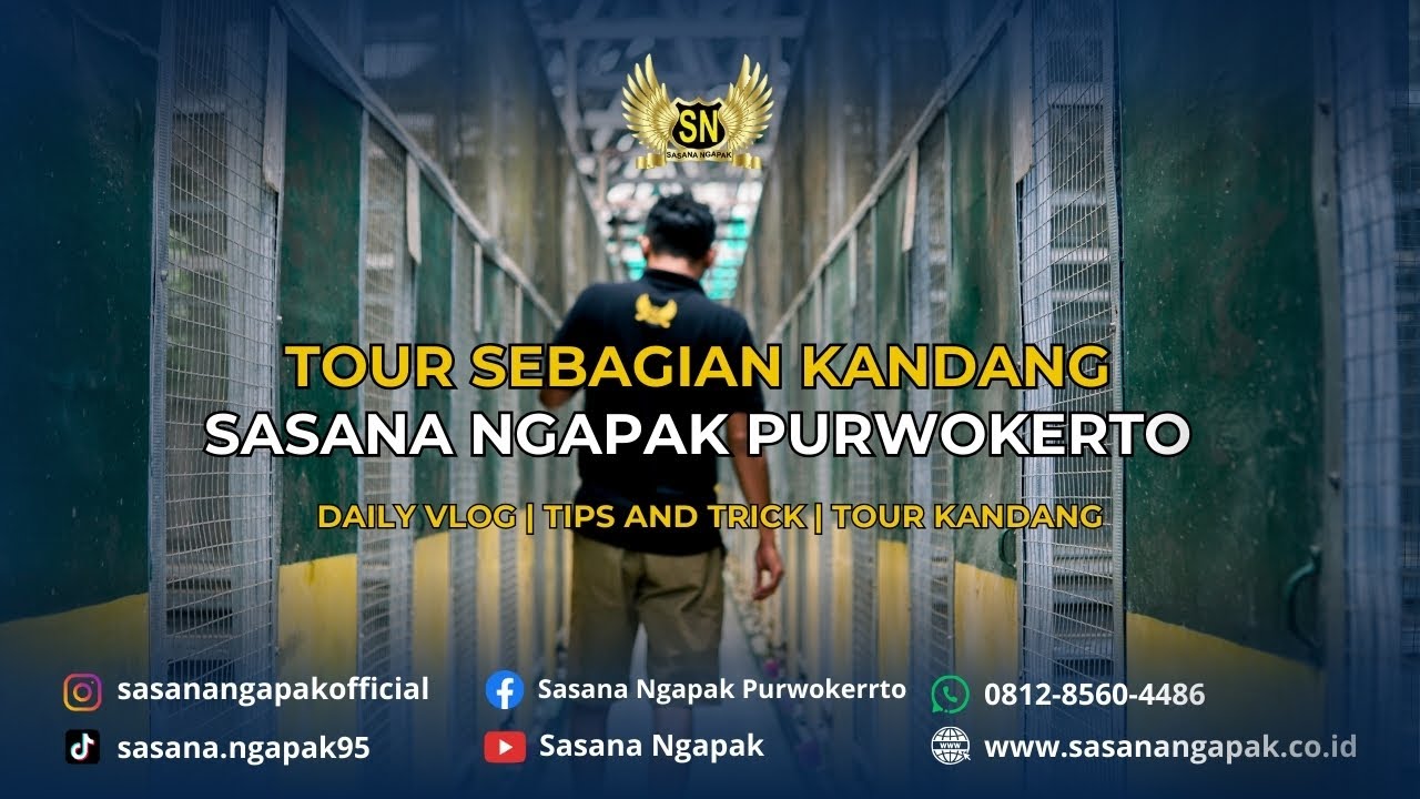 TOUR SEBAGIAN KANDANG SASANA NGAPAK PURWOKERTO!